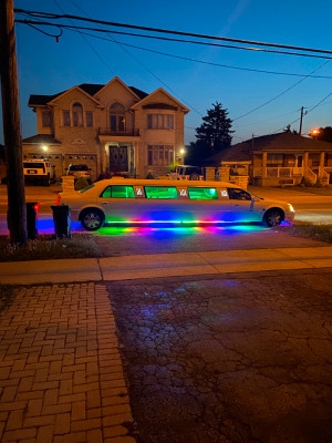 2008 Cadillac DTS Limousine