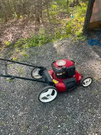 21 inch lawnmower