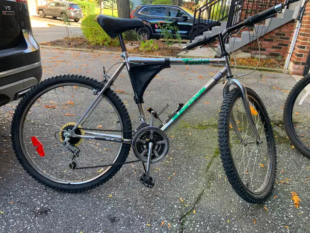 Adult mountain bike