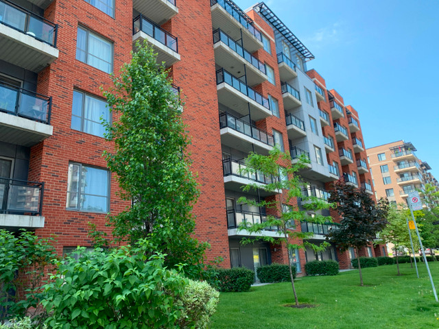 Fully Furnished Studio with balcony - July 1st, 2024 dans Locations longue durée  à Ville de Montréal