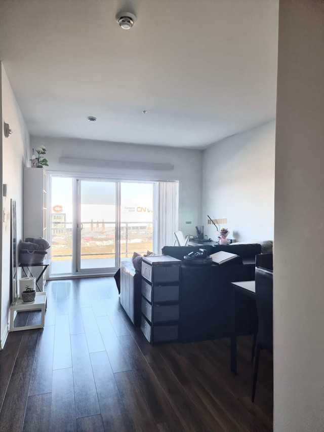 One bedroom apartment for rent in DiX30 dans Locations longue durée  à Longueuil/Rive Sud - Image 3