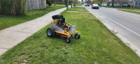Lawn Disposal Robot