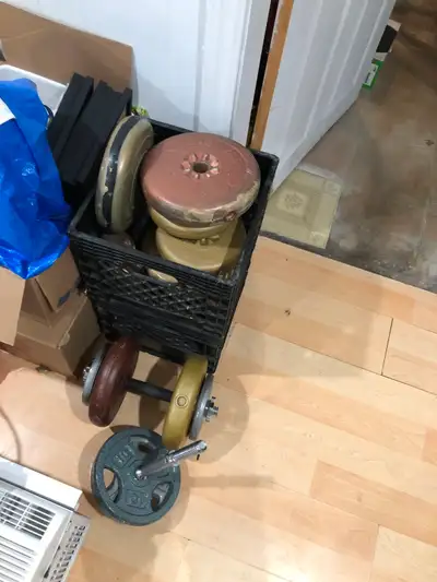 Assorted weights, View more