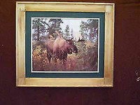 Moose In The Bush Art Framed Print