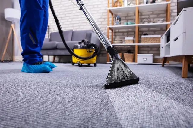 Deep Cleaning, Regular Cleanings Services402405809529835521
