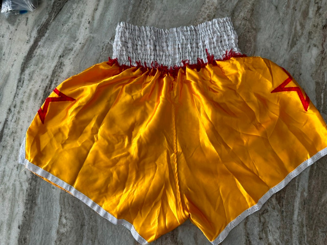 Boon & Lumpinee Muay Thai Shorts (3) bundle dans Autre  à Barrie - Image 2