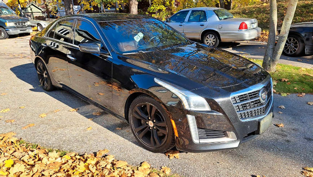 CTS Twin Turbo V-Sport in Cars & Trucks in City of Toronto - Image 2