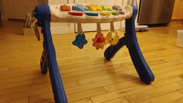 Fisher-Price Baby Activity Center Piano Gym in Toys in Edmonton - Image 4
