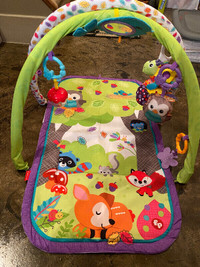 Baby Play Mat/Activity Gym