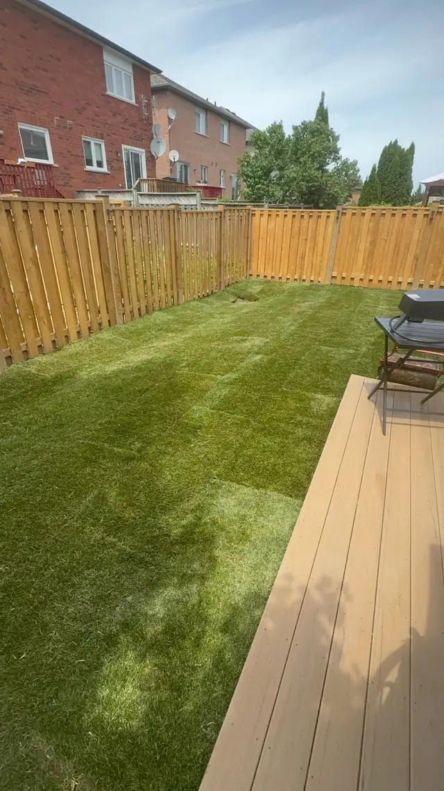 Sod Installation – Upgrade Your Lawn Today!63008305233153121