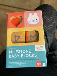 Milestone Baby Blocks