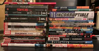 45 (I believe) graphic novels being sold as a lot. Some hardcover, mostly TPB, lots of Marvel and DC...