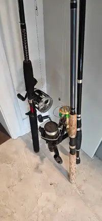Fishing rod and reel combos