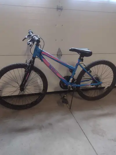 Movelo Algonquin Mountan Bike $50, View more