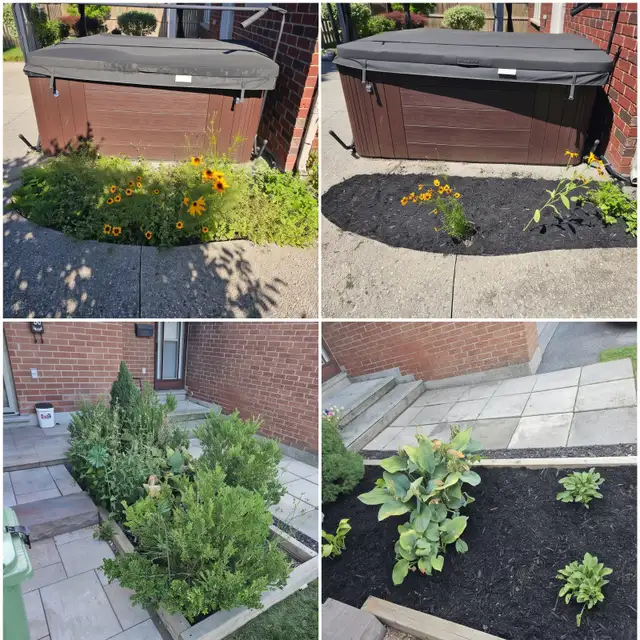 Reliable & Affordable Landscaping & Gardening - Fall Cleanup in Other in Hamilton - Image 2