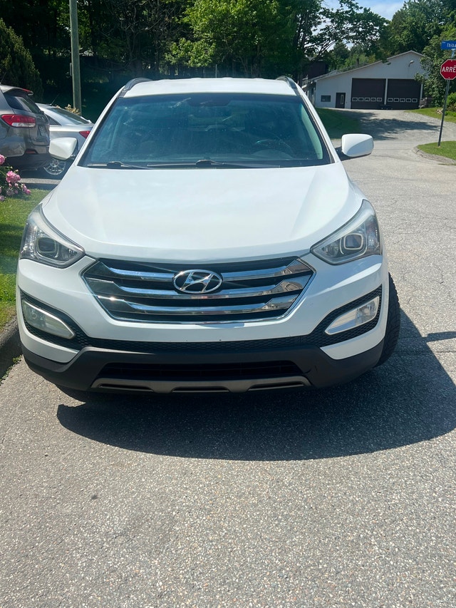 Santafe sport 2014