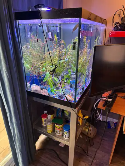 65 gallon fish tank with stand , View more