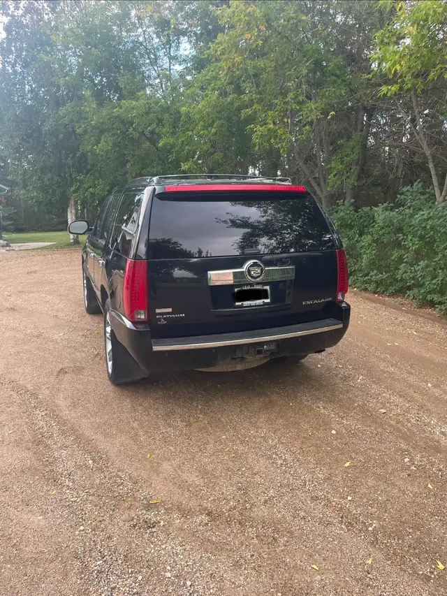 2012 Escalade Platinum551125938162913282