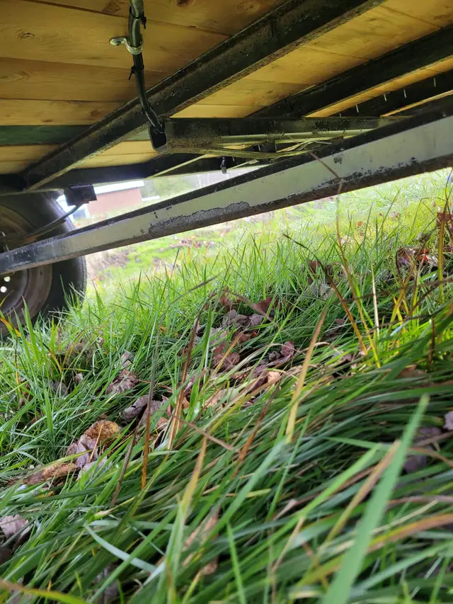 Trailer64424055546371121