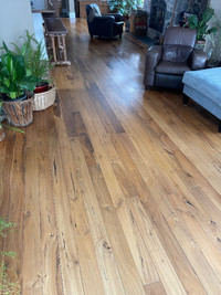Black Walnut Hardwood Flooring (Solid) - 190 sq/ft