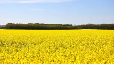 I am Booking Acres for 2026 spring in Lamont county. Rates starting at $8 and up depending on rate....
