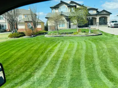 Looking for reliable lawn care? We provide: ✔️ Lawn cutting & trimming ✔️ Weed removal ✔️ Garden mai...