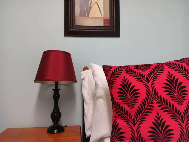 Furnished 1 Bedroom month-to-month rental $850