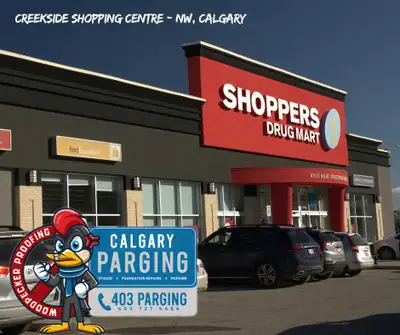 Woodpecker Stucco Repair Calgary | Hole Repair & Protection, View more