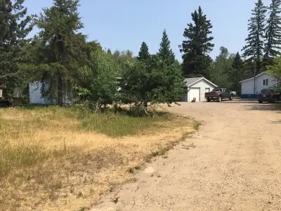 Acreage For Sale: Only 20 minutes from Meadow Lake, Saskatchewan. This 20 acre beautifully treed gat...