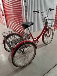 Manhattan Adult Trike Tricycle