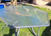Backyard table 