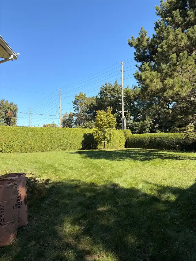 Exterior services & fall cleanup/snow removal in Lawn, Tree Maintenance & Eavestrough in Ottawa - Image 4