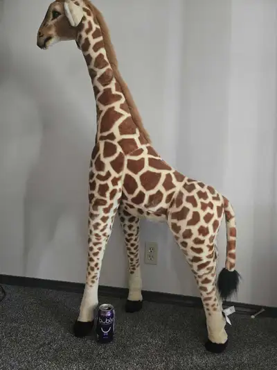 Stands over 4ft tall, stuffed giraffe. Smoke free, pet friendly home.