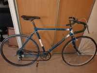 Raleigh used 