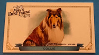 2012 Allen & Ginter Man's Best Friend 13 Diff Mini Cards: Collie