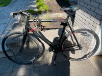 Raleigh Back Alley Bike