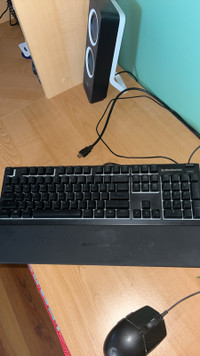 Key board and mouse 