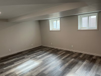 Newly renovated basement apartment