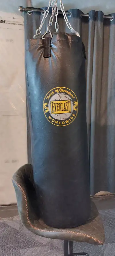 Everlast 80lb Heavy Bag, View more