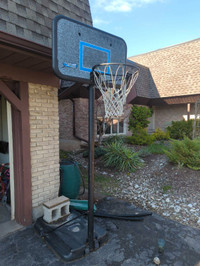 Free basketball net