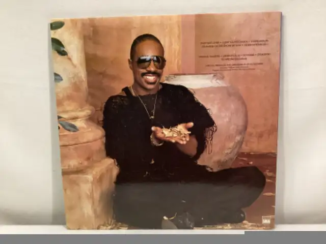 STEVIE WONDER (IN SQUARE CIRCLE) GATE-FOLD WITH BOOKLET VINYL LP in Arts & Collectibles in Winnipeg - Image 3