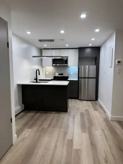Newly Renovated 1 Bedroom Apartment in Hamilton