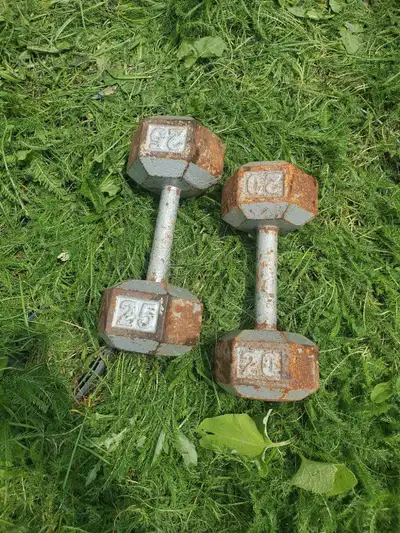 25 lb Dumbbells, Voir plus