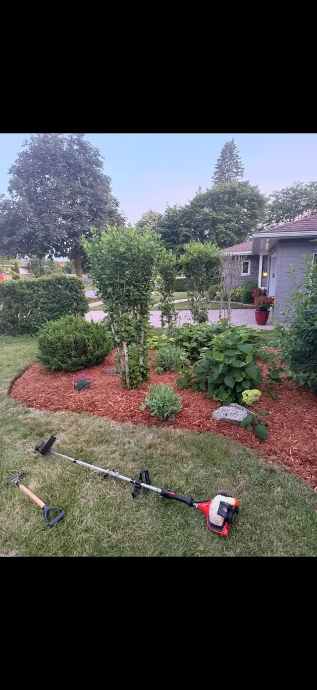 landscape Services,grass cutting in Lawn, Tree Maintenance & Eavestrough in London - Image 3