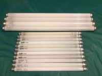15 Assorted Fluorescent Light Bulbs (18" & 12")