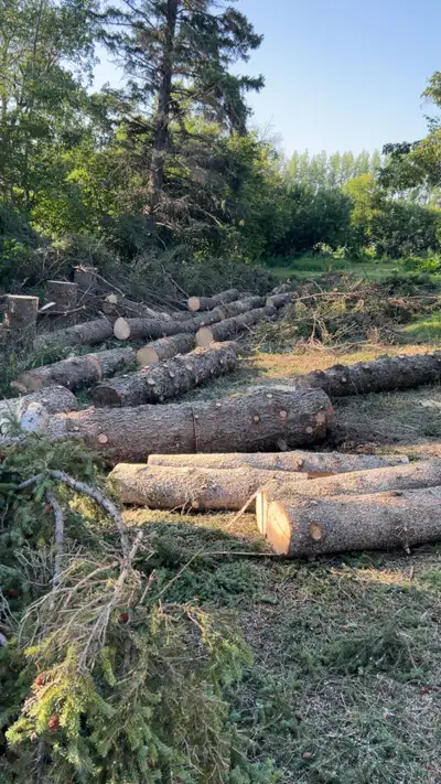 general Labouer grounds persons, View more