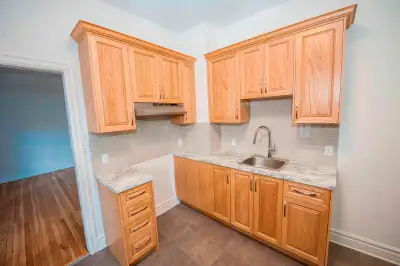 7 1/2 logement louer Plateau (tout renouver)
