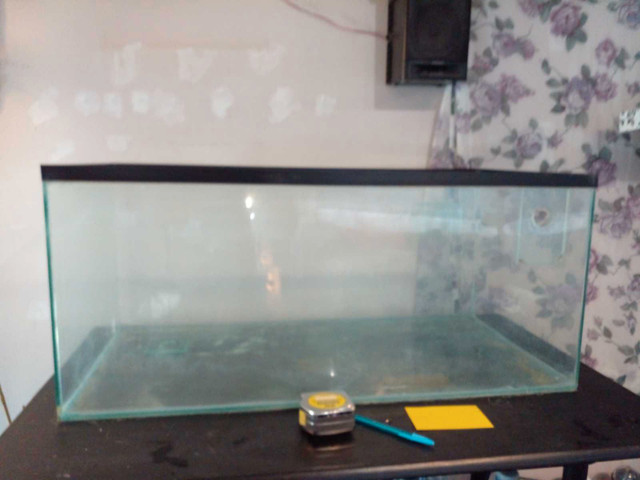 Clear box used for plantquarium in Other in London