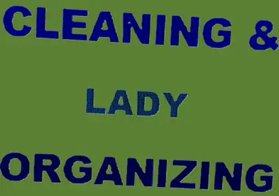 Pro Cleaning & Organizing Lady is available to Help_GTA _ $20 hr, View more