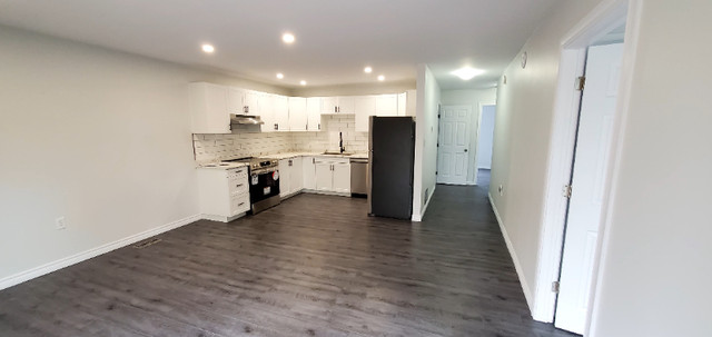 Beautifully Renovated 3 Bedroom Duplex Unit in Belleville in Long Term Rentals in Belleville - Image 3